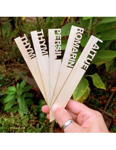 Etiquette semis en bois