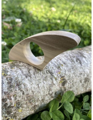 Bague de lecture