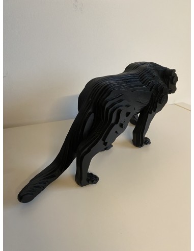 Panthera