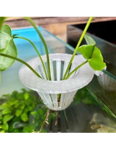 Porte-plante d'aquarium