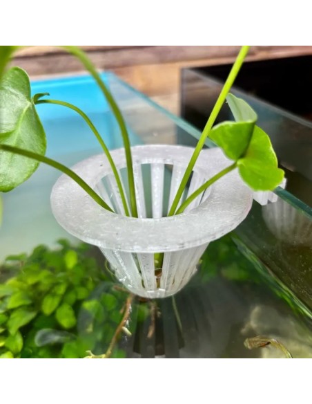 Porte-plante d'aquarium