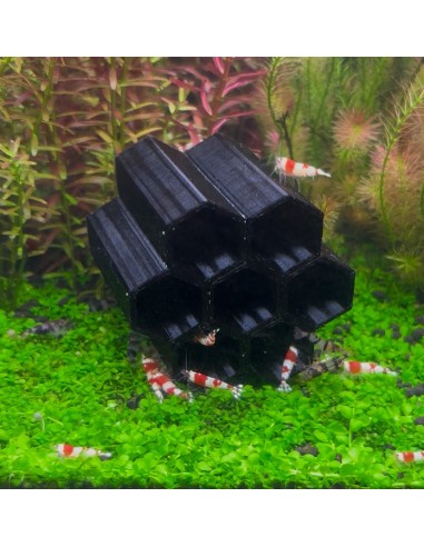 Abri en nid d'abeille pour les crevettes