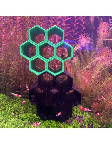 Abri en nid d'abeille pour les crevettes